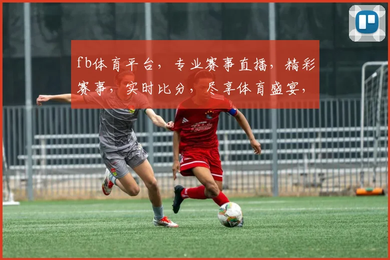 fb体育平台，专业赛事直播，精彩赛事，实时比分，尽享体育盛宴，不容错过