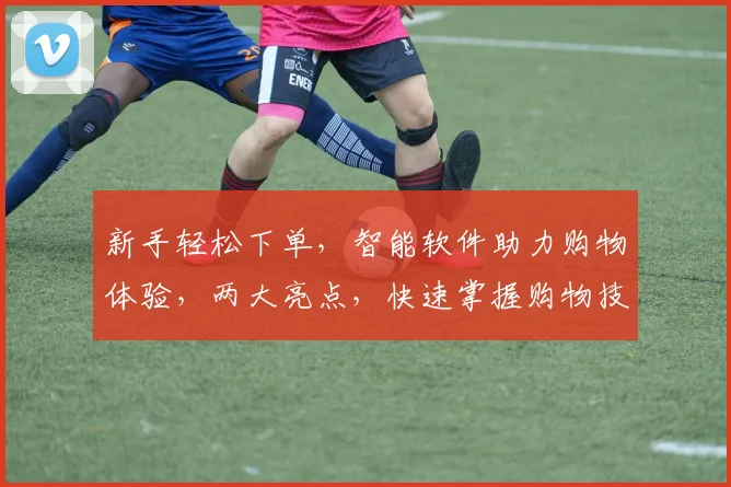 新手轻松下单，智能软件助力购物体验，两大亮点，快速掌握购物技巧，购物无忧